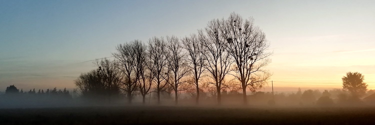 Lovell Fuller banner