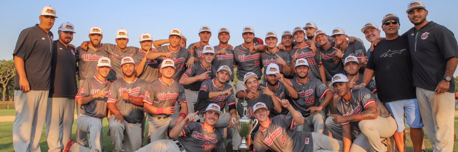 Westhampton Aviators banner