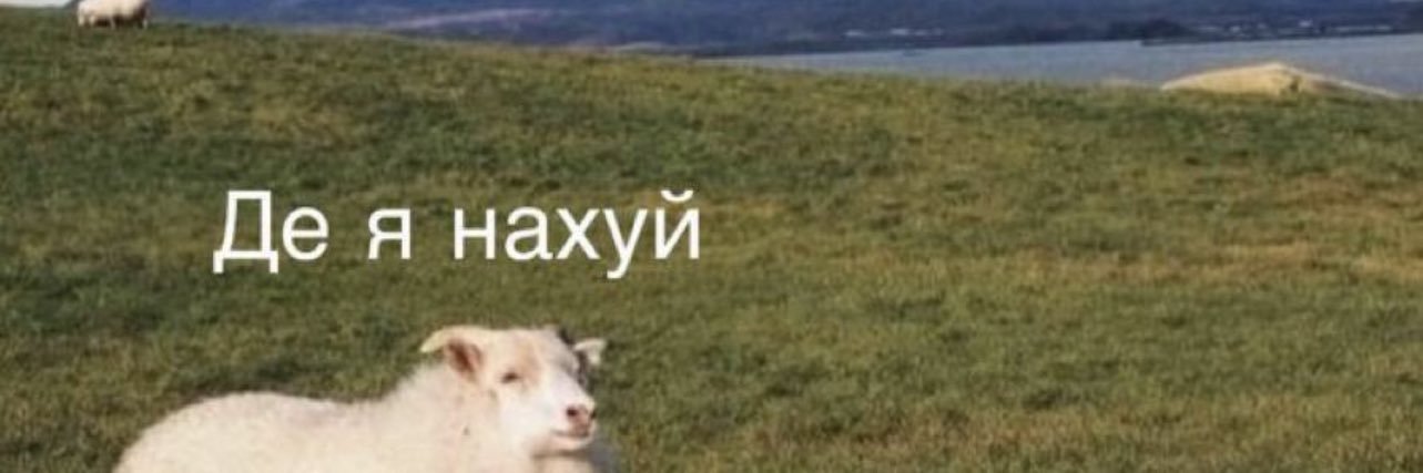 Танька's banner