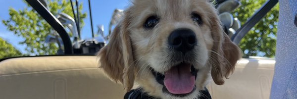 MissWillsSH Profile Banner