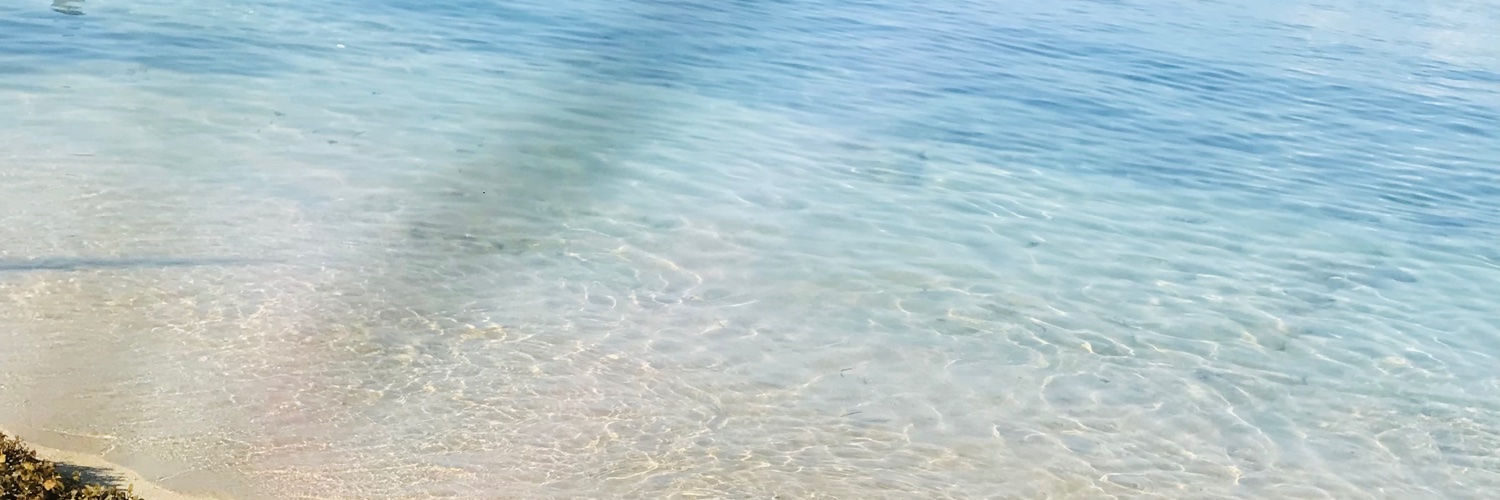 heyyyyJune's profile banner image