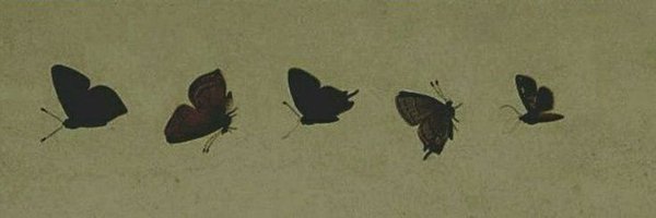 Cinnam0niee Profile Banner