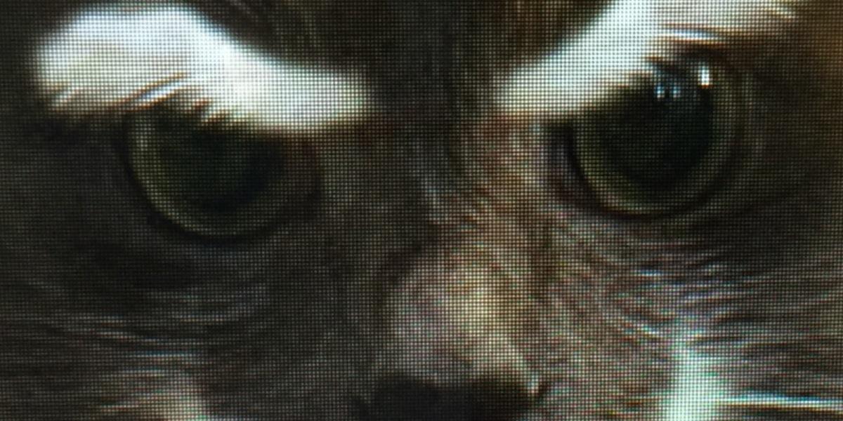 fr8hulr's profile banner image