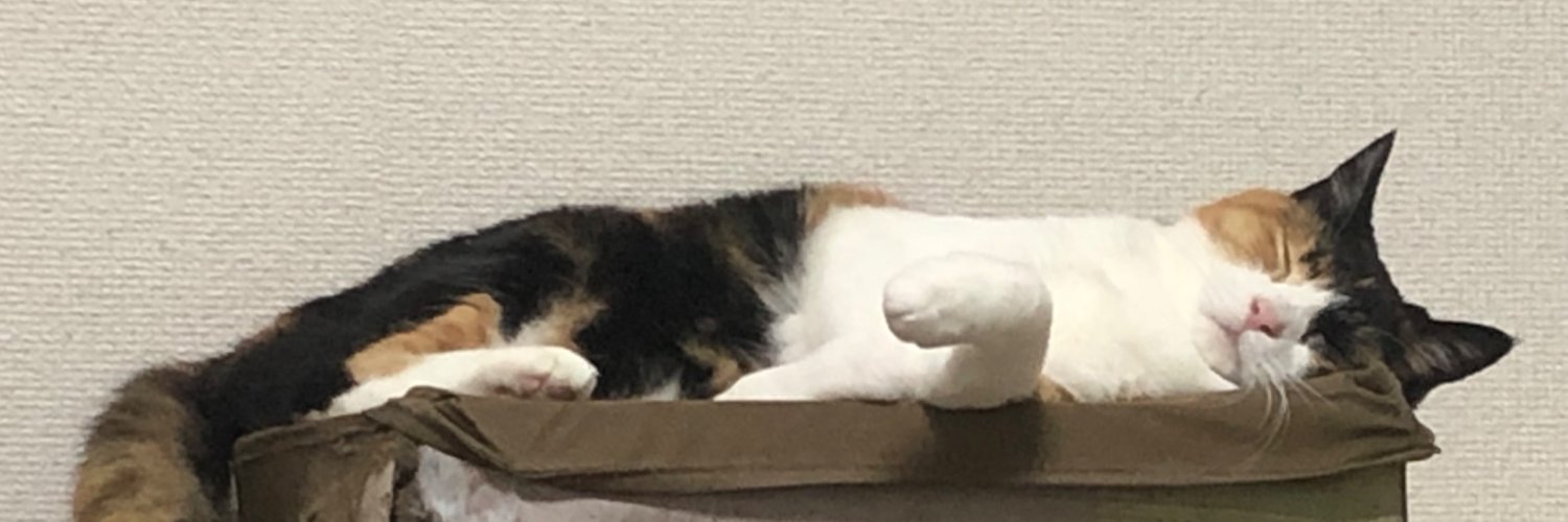 toxumoe's profile banner image