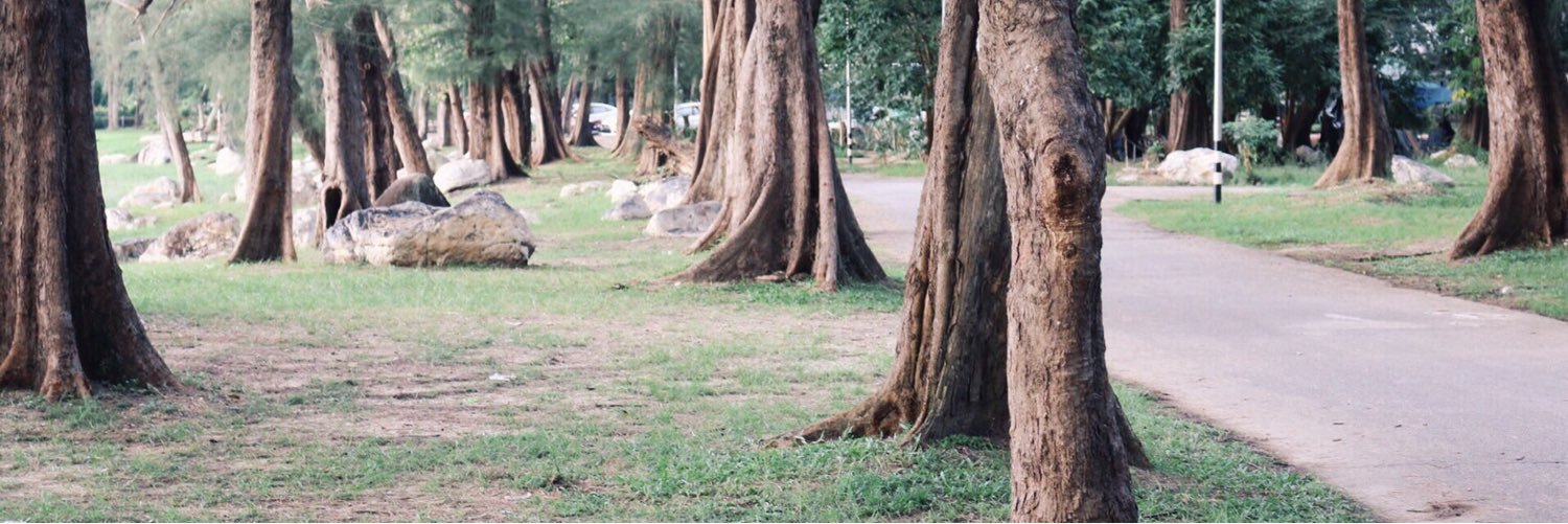 peeairaa's profile banner image