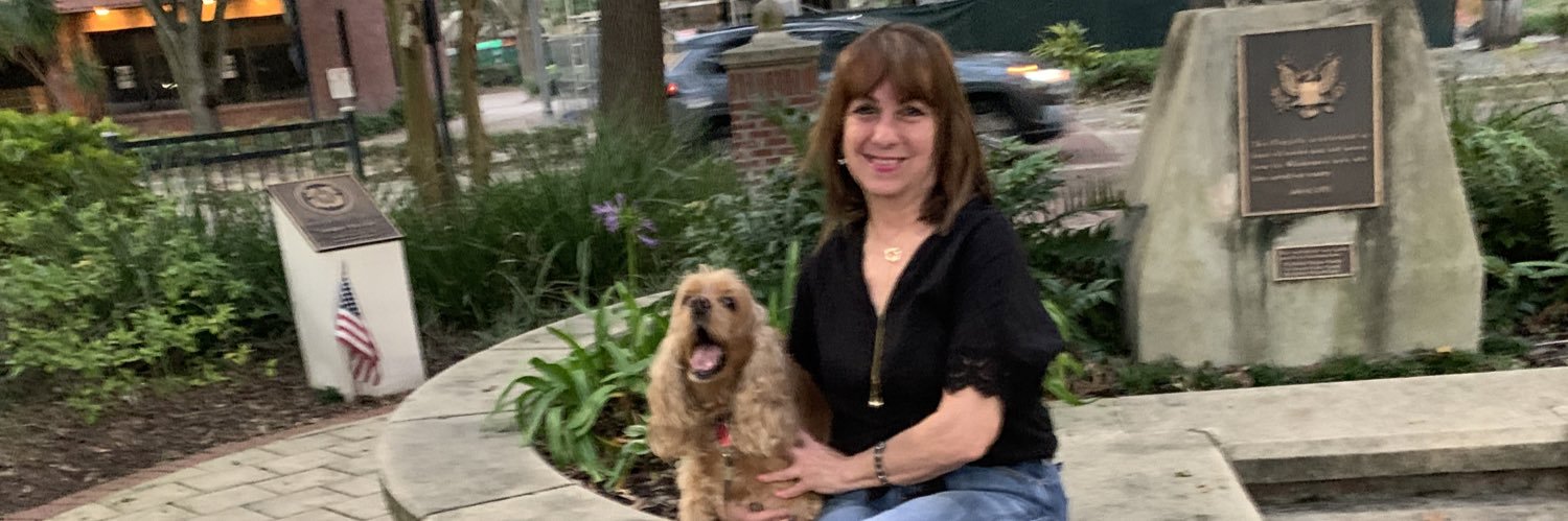maridisanto's profile banner image