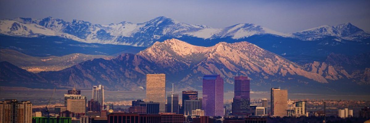 The Shufflers banner