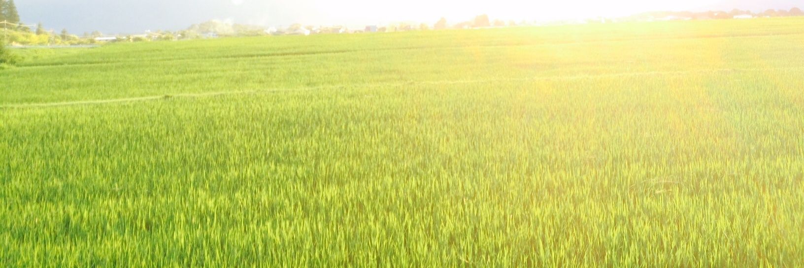 KalA_khali's profile banner image