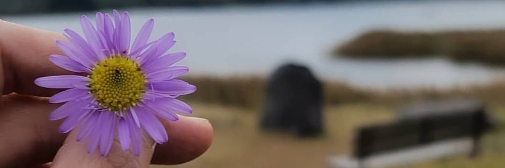_camelia3963's profile banner image