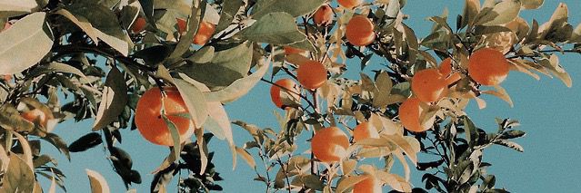 ☁️▫️! Yuto !! Koyla !🔸️🍊's banner