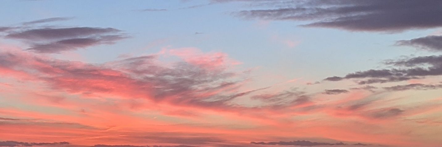 요녀석 🎗's banner