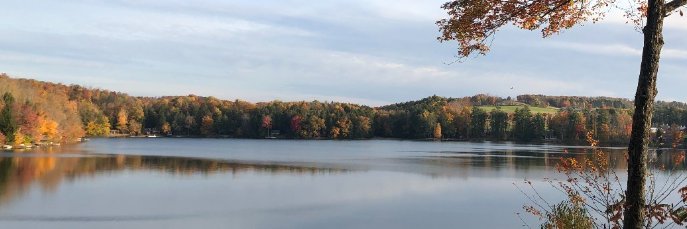 Charlie McCarthy 🇺🇸 banner