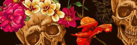 MIKIPLOU's profile banner image
