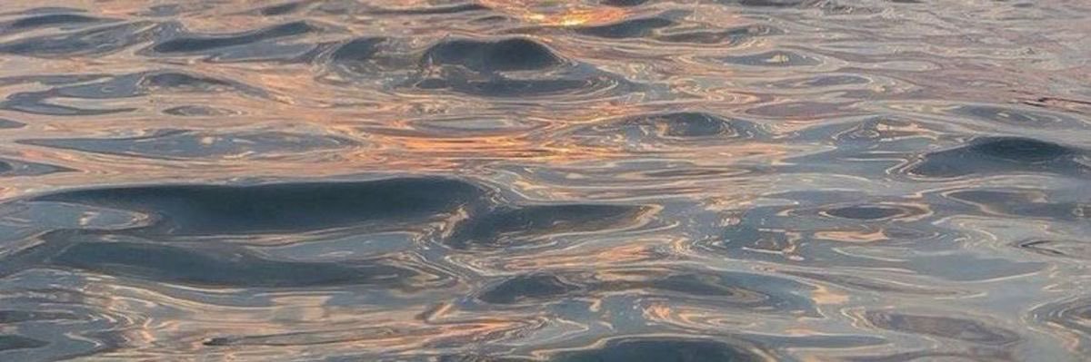videsire_'s profile banner image
