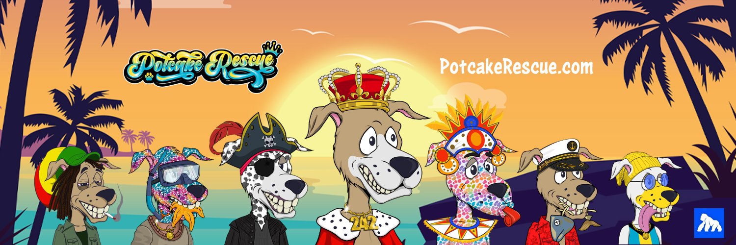 Potcake Rescue 🏝🐕's banner