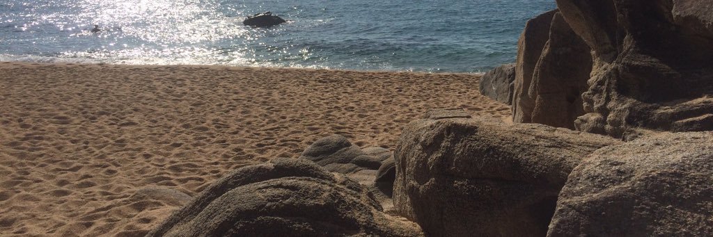 tikkkkoo's profile banner image
