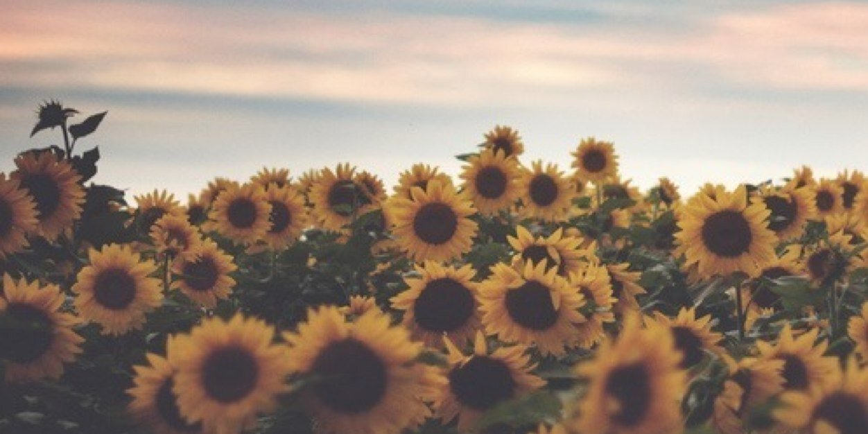 YahaPC's profile banner image