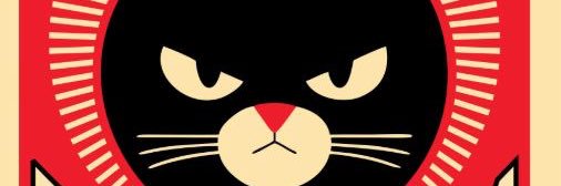 Kashti banner