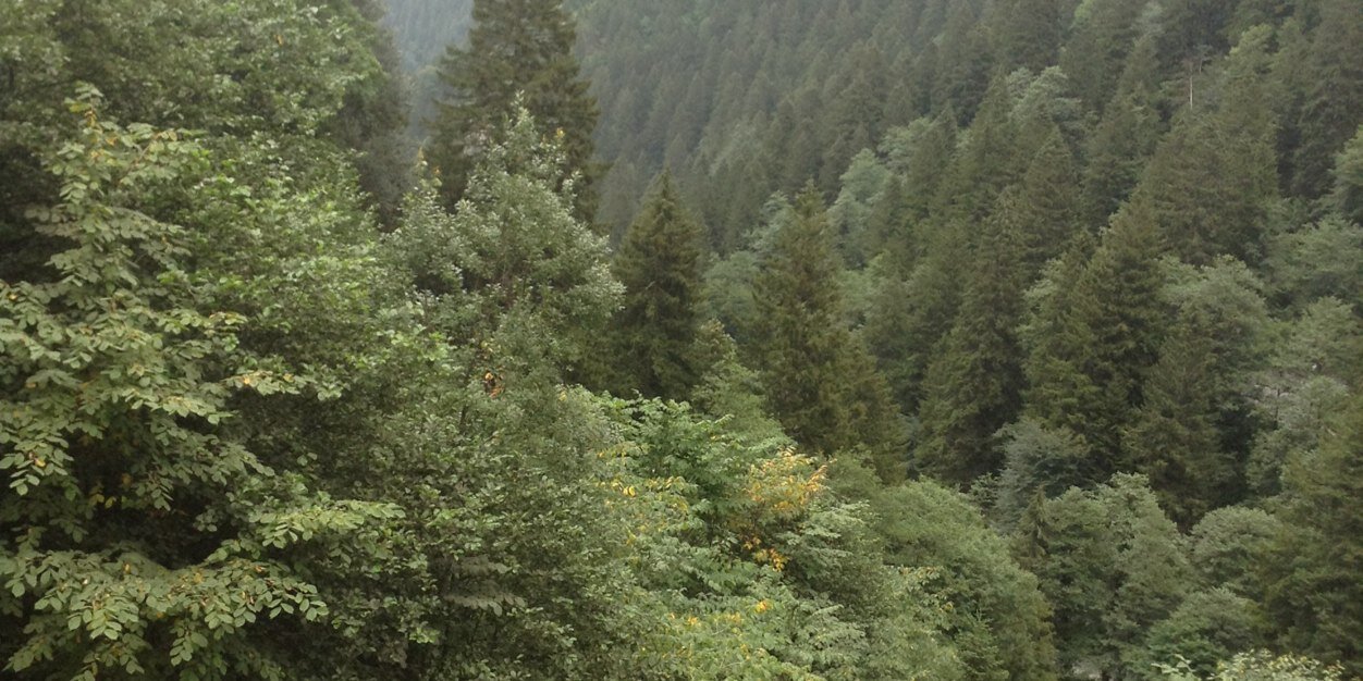 gulzade8's profile banner image