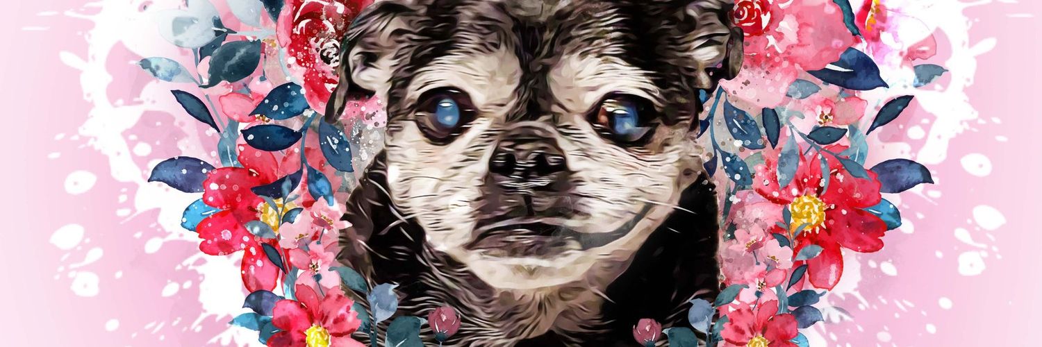 Angel Pugnatious Gibbons 🌈 Profile Banner