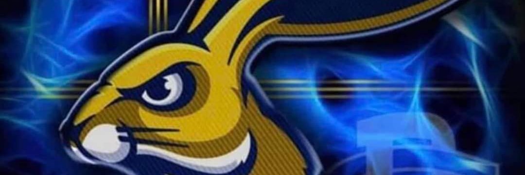 Brandon Fodness banner