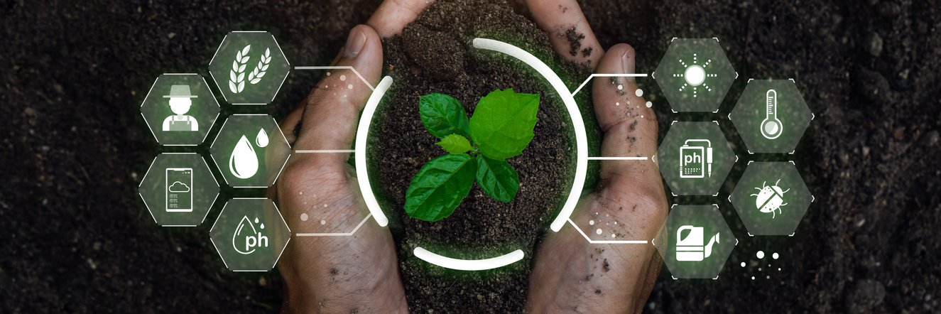 maskellgrowers's profile banner image