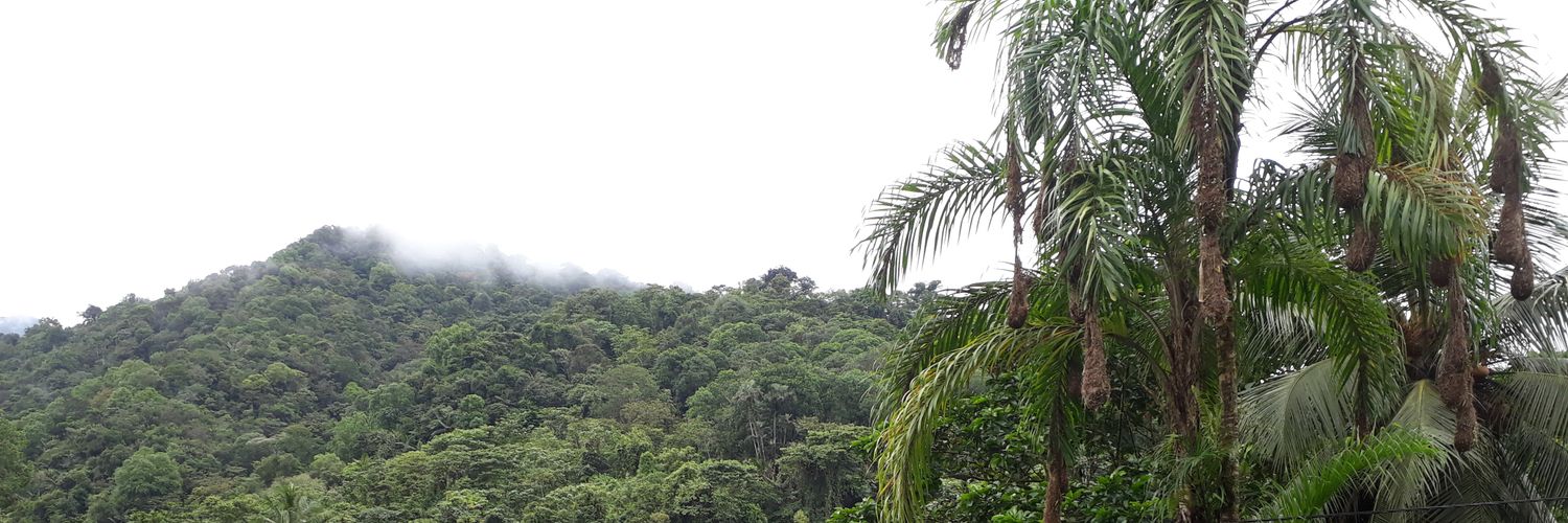 LlanoSantiago's profile banner image