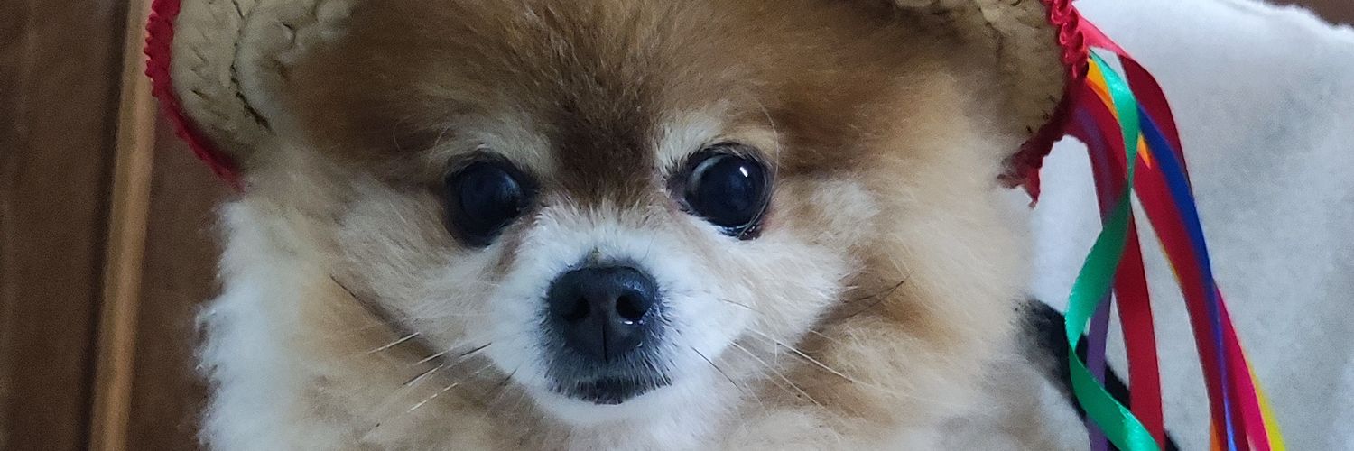 veterinando_'s profile banner image