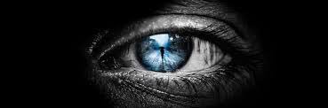 MaximilienCous1's profile banner image