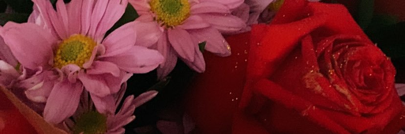 oopsleh's profile banner image