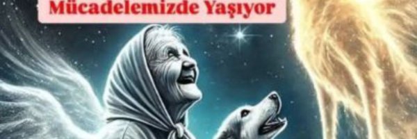 Hasardam Profile Banner