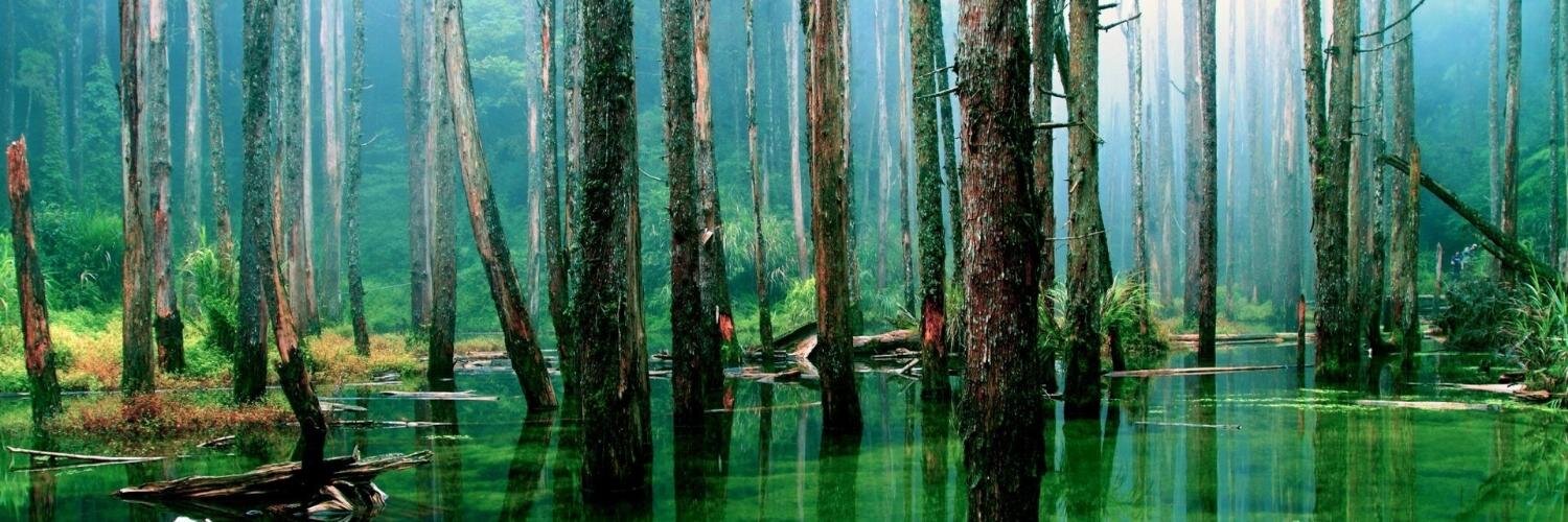 Dr. Fatih Özel banner