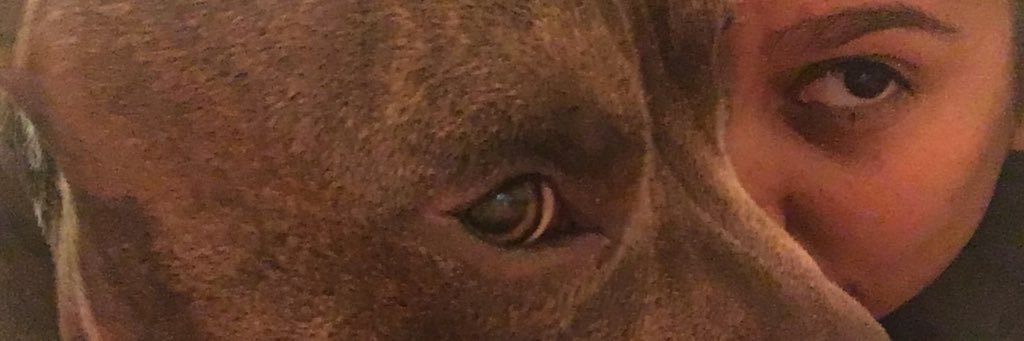 mlorac's profile banner image
