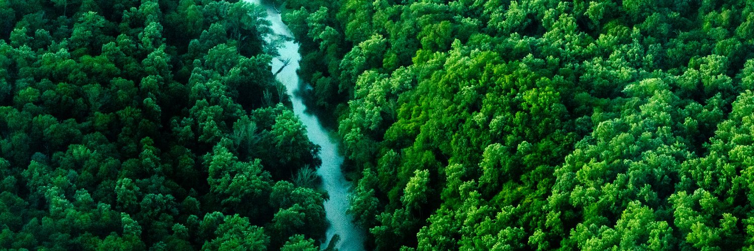 Chesapeake Bay Program banner