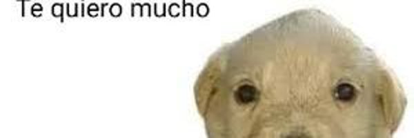 EricksTwo Profile Banner
