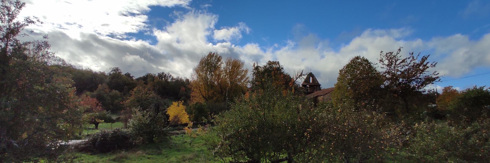 Felipe Barrientos Díez banner