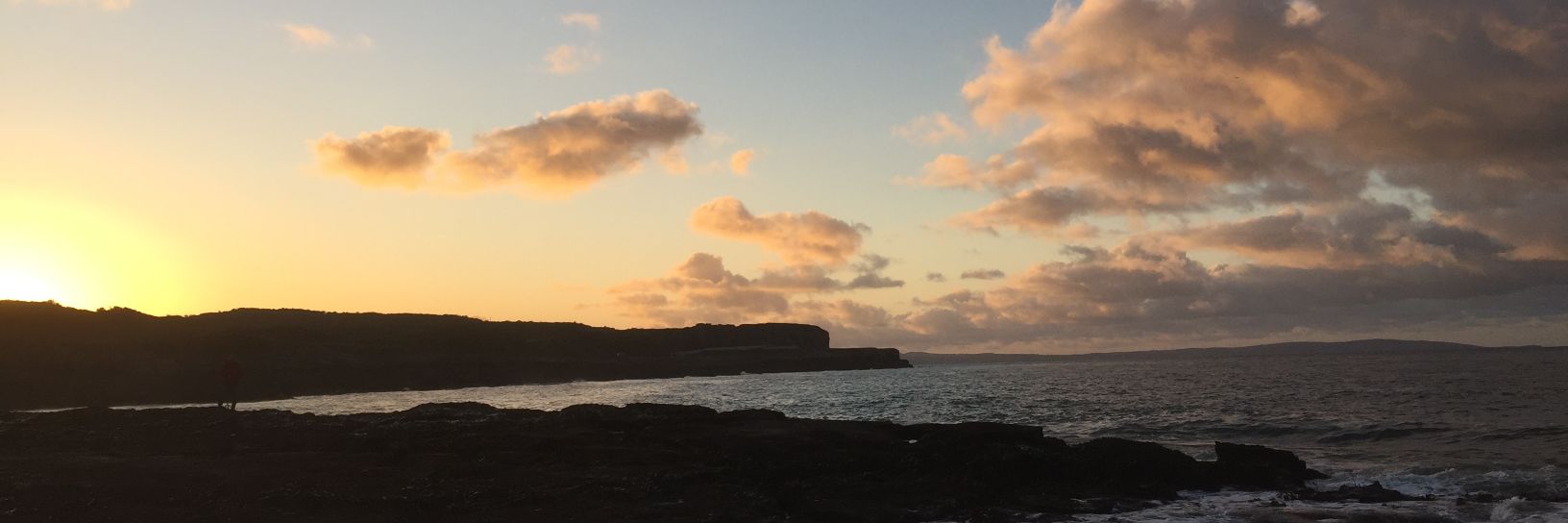 sonia henshall banner