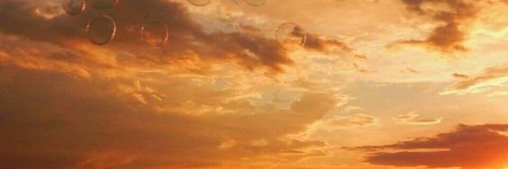 RayScannello's profile banner image