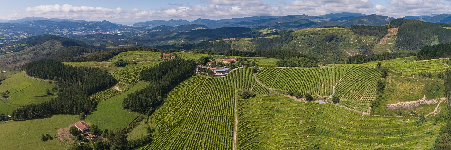 Bodega Berroja banner