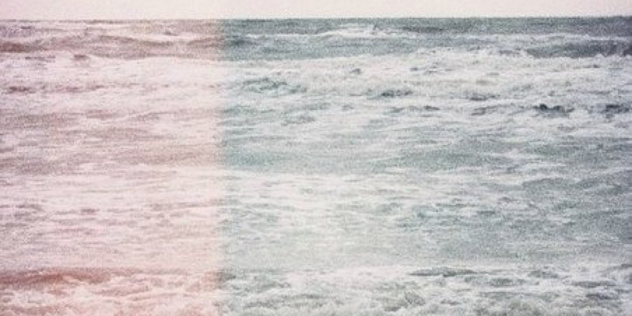 daria kachay  banner