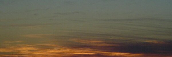 waynegq Profile Banner