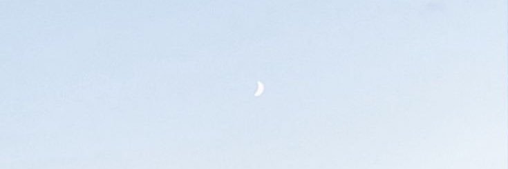 たよん@取引 ﾘﾄﾘﾝ必読 banner