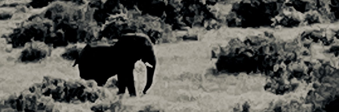 ClareMunn's profile banner image