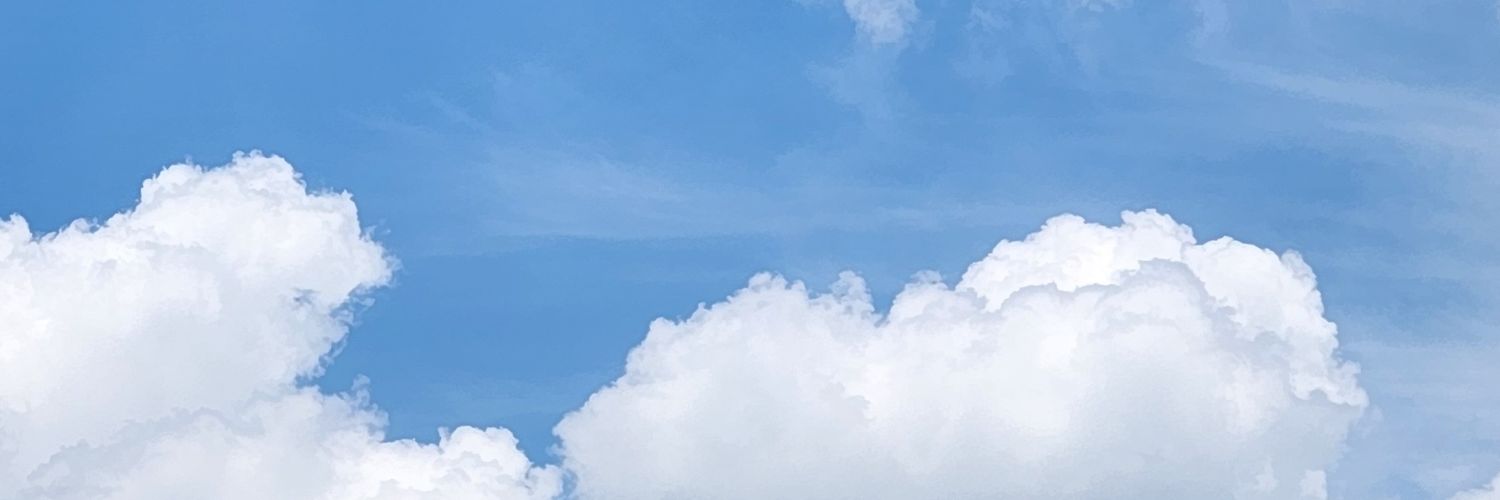 바른 banner