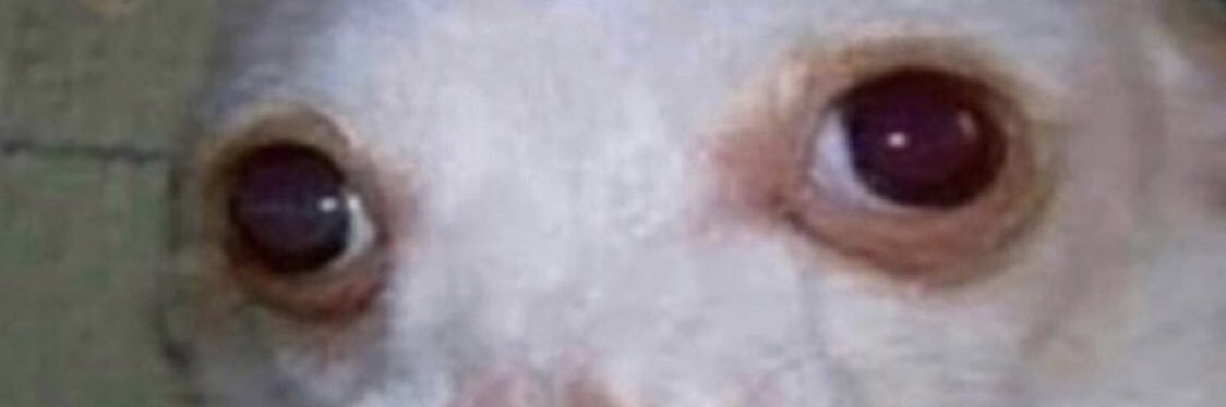 jackierigalli's profile banner image