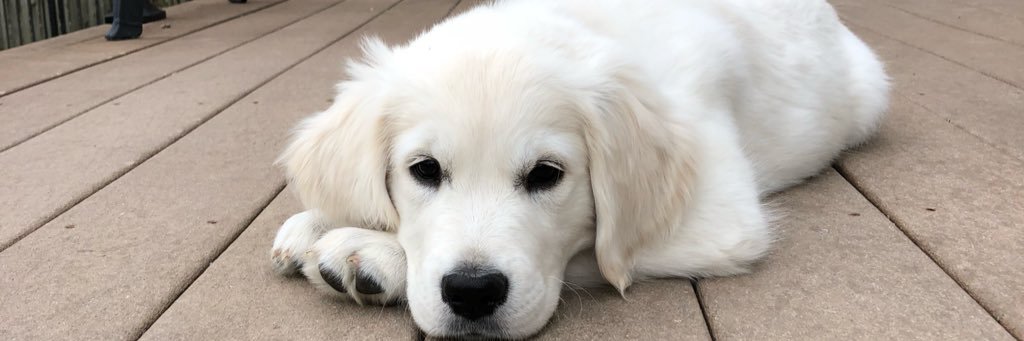 leighgrainger banner