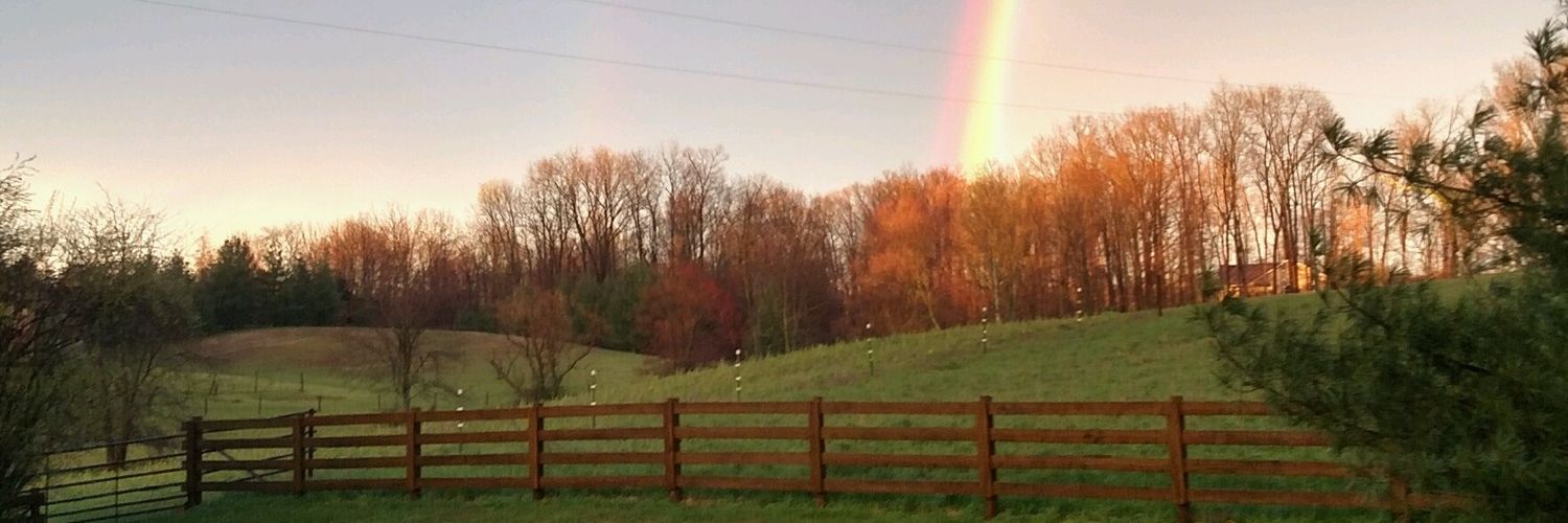 GenaStonefield's profile banner image