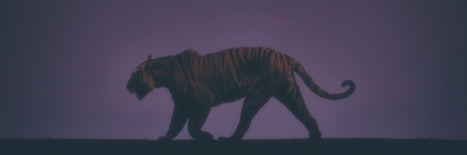 feng666z's profile banner image