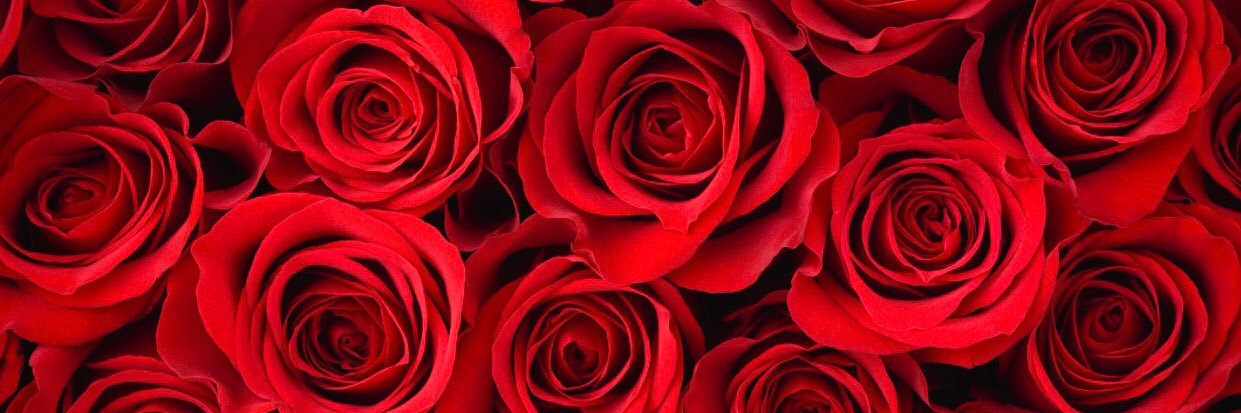 Mariaa_Be's profile banner image