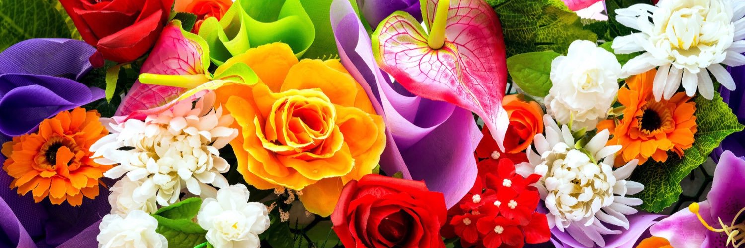 Kellyyxoxo's profile banner image